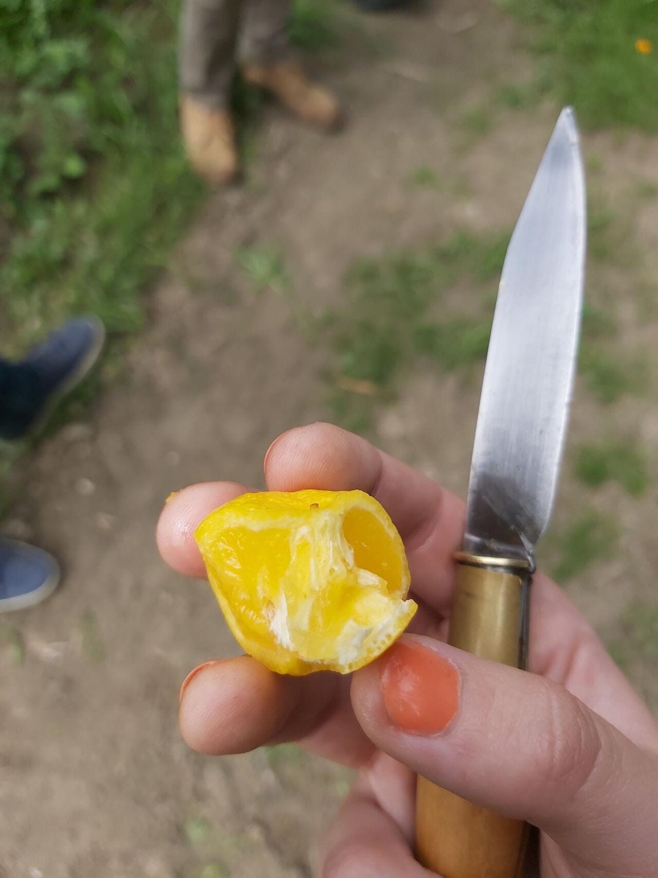 L'art délicat de la distillation du yuzu