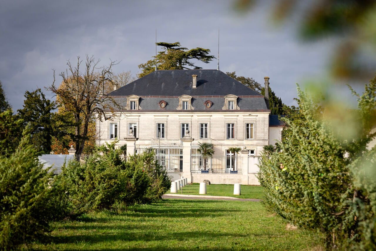 Revivez la récolte des baies de genièvre au Château de Bonbonnet avec Citadelle Gin