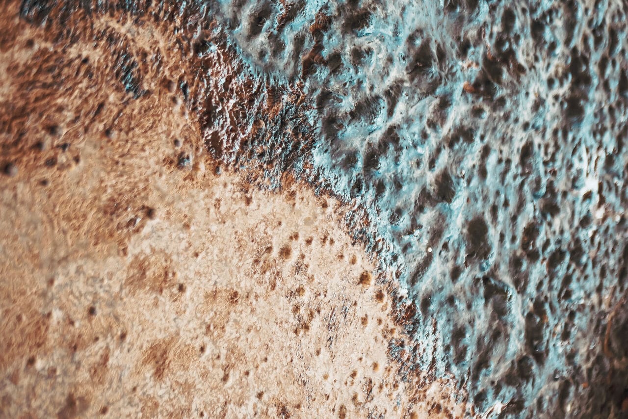 La nurserie des levures : le cœur vivant de Stade’s