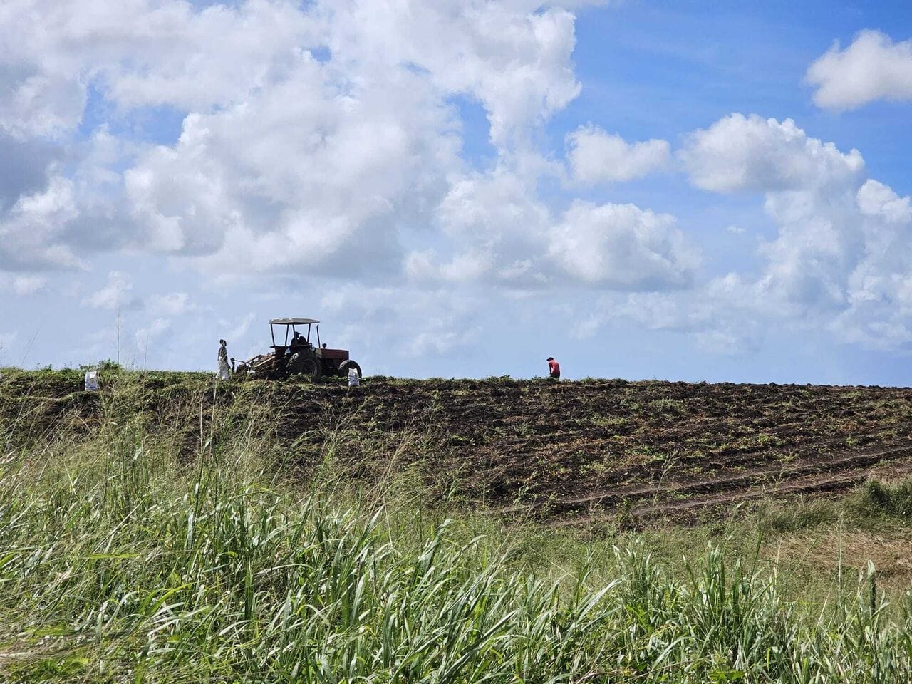 Le savoir-faire, ça se pratique