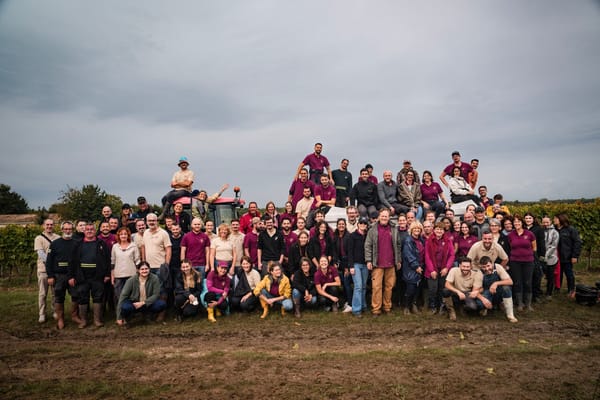 L'engagement des équipes Ferrand Cognac pour préserver les vendanges 2024 face aux intempéries