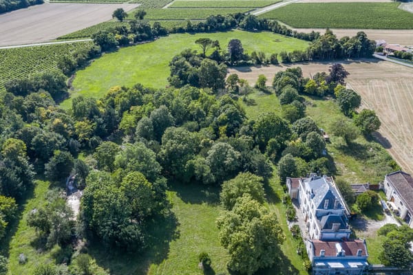 Renaissance des vignes au Manoir de Mademoiselle