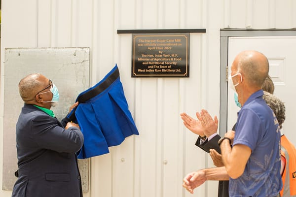 Harper Sugar Cane Mill : l’empreinte d’un pionnier oublié