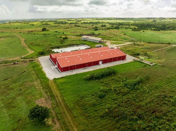 Un chai face aux vents : vieillissement sur le plateau de Kendal