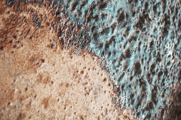 La nurserie des levures : le cœur vivant de Stade’s