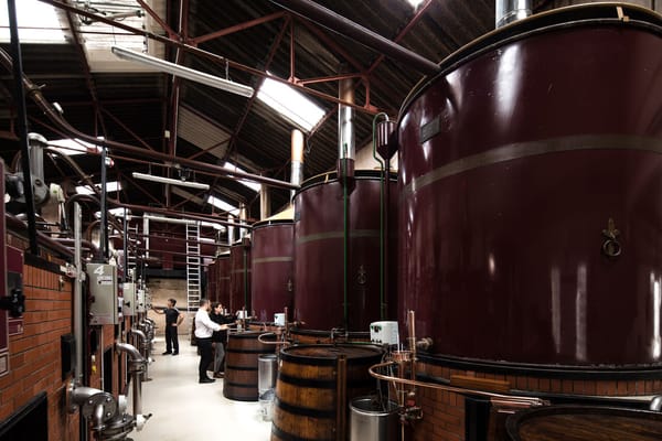 L’élaboration d’un cognac, sans compromis - Deuxième volet