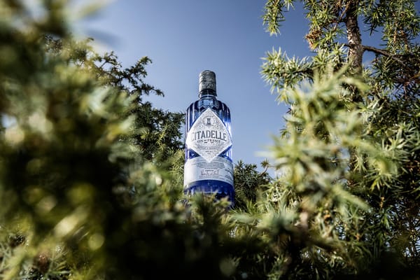 Ce que cachent nos étiquettes – Citadelle Gin
